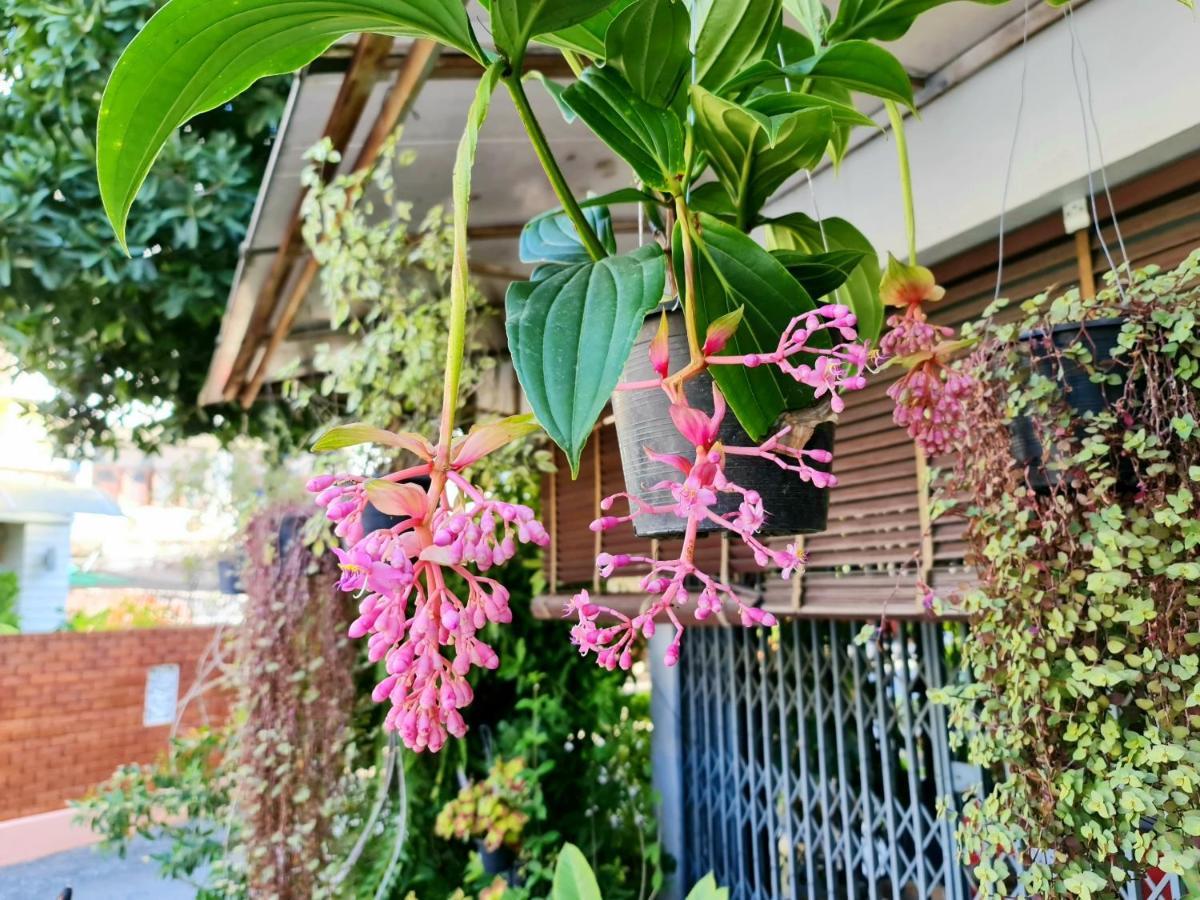 Bed And Terrace Guesthouse Chiang Mai Exterior photo