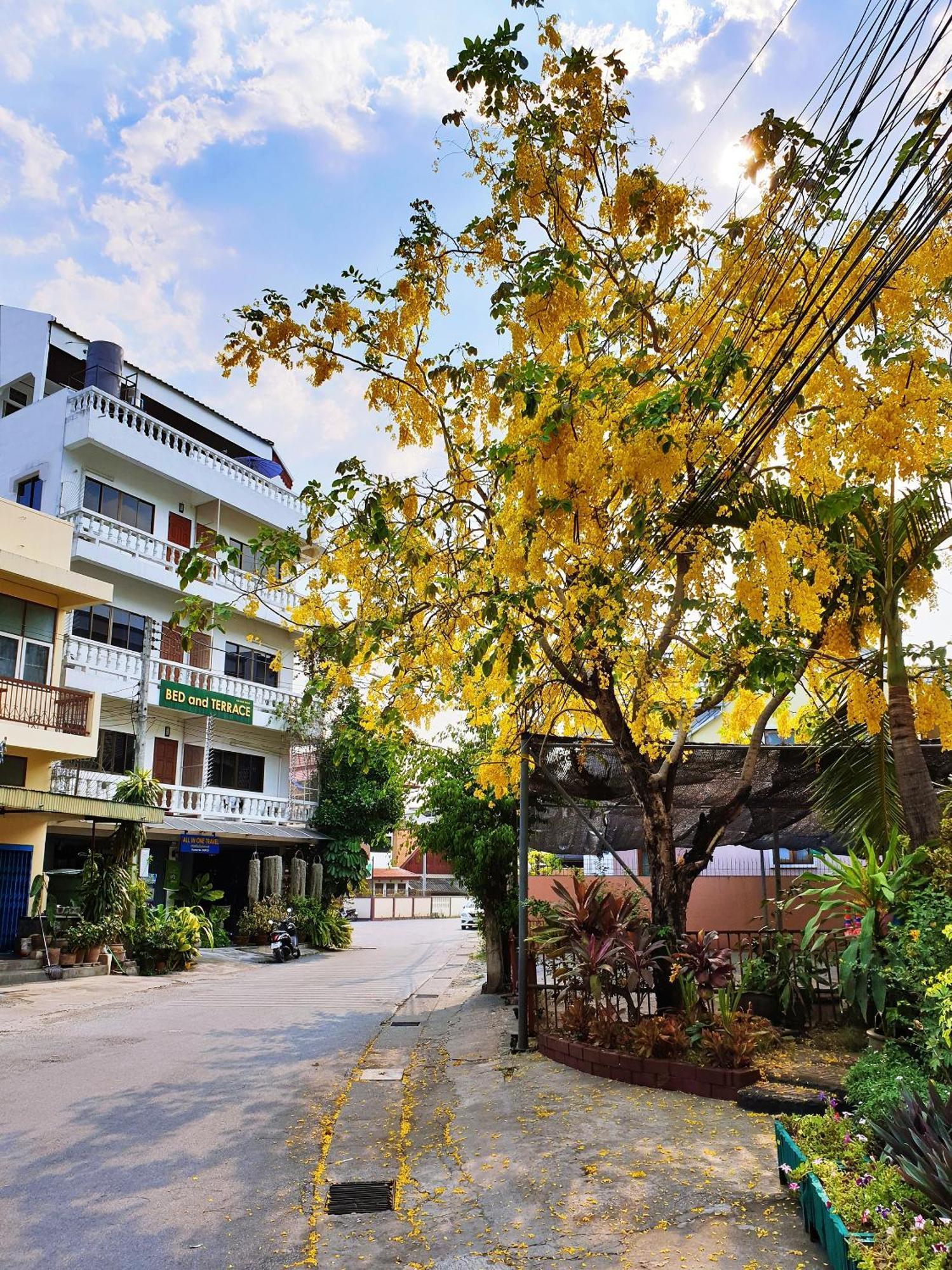 Bed And Terrace Guesthouse Chiang Mai Exterior photo